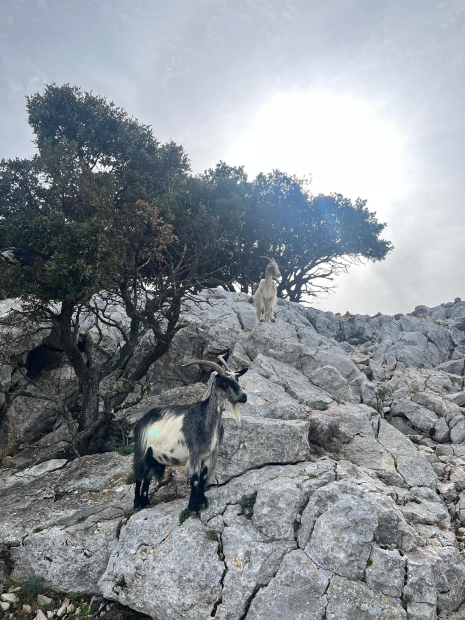 Petit Paradis A Sanary Avec Vue Mer Wifi Et Clim Esterno foto
